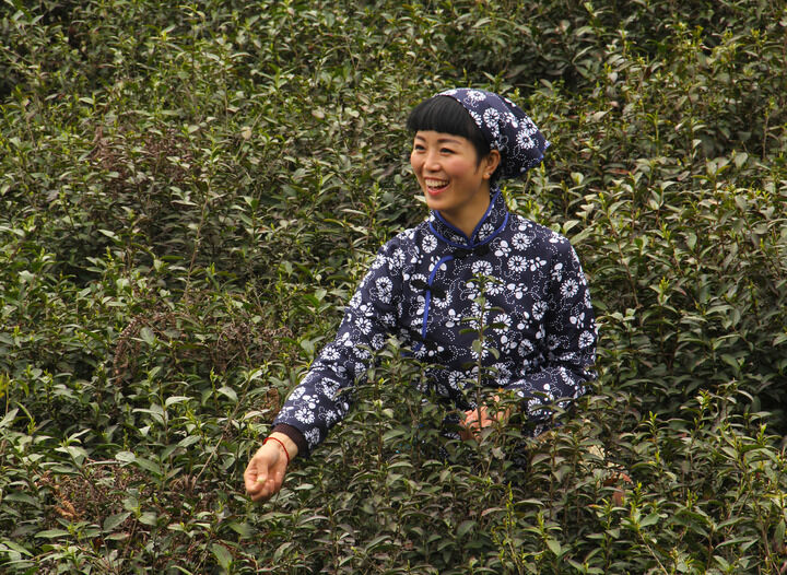 红玫瑰房间